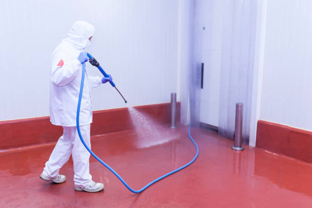 Best Building Exterior Washing  in Arp, TX