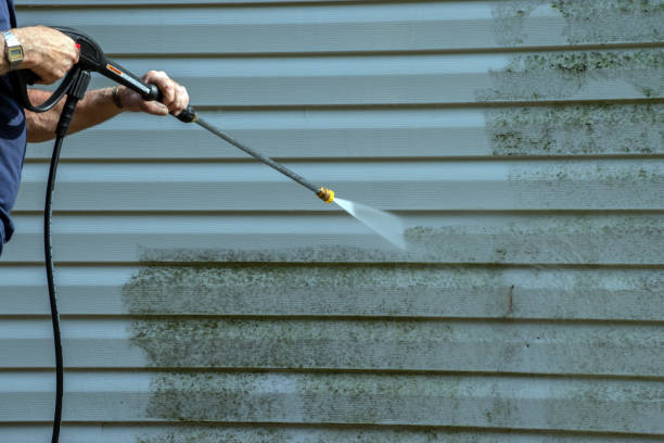 Best Pool Deck Cleaning  in Arp, TX